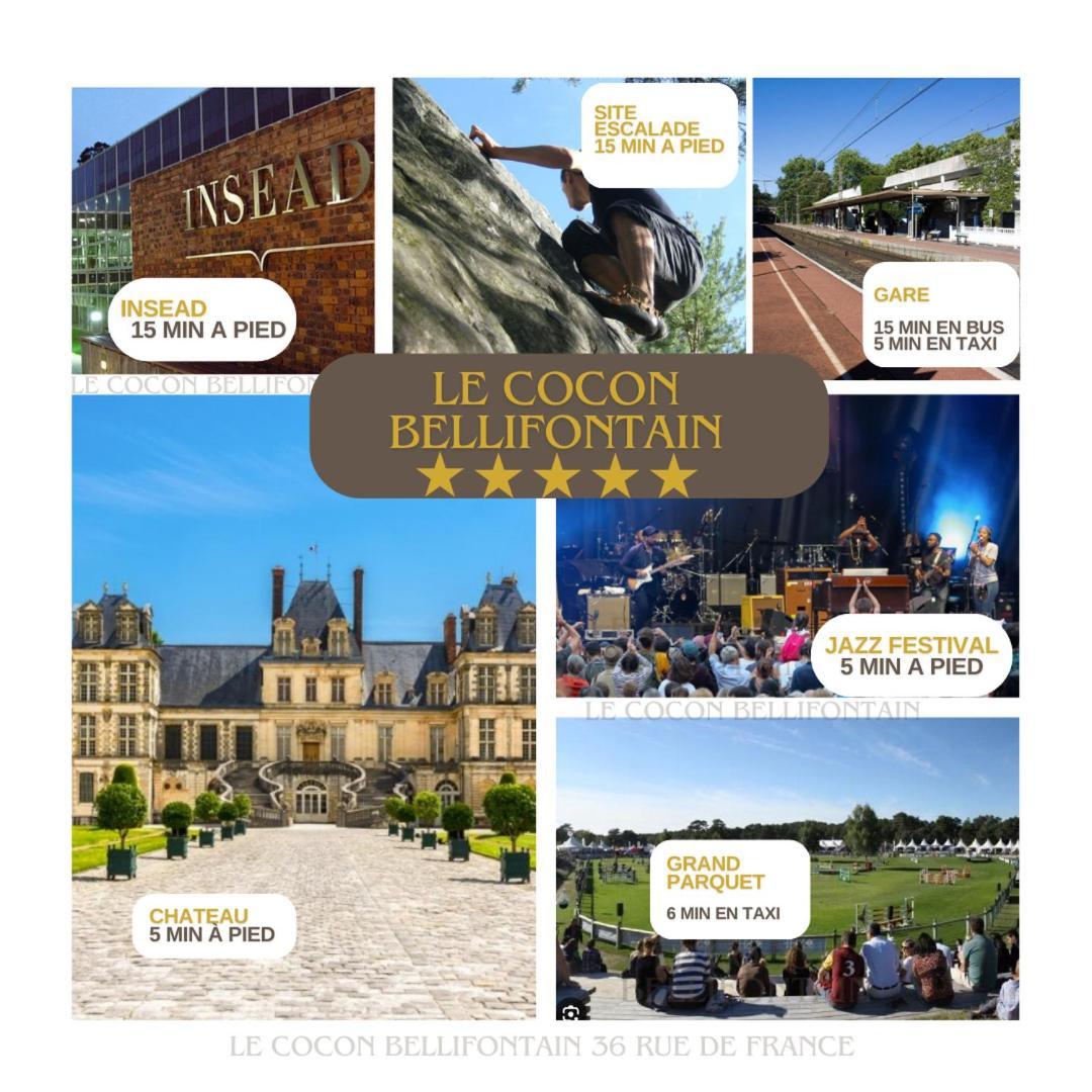 Le Cocon De Fontainebleau - Centre-Ville, Proche Insead & Chateau Exterior foto