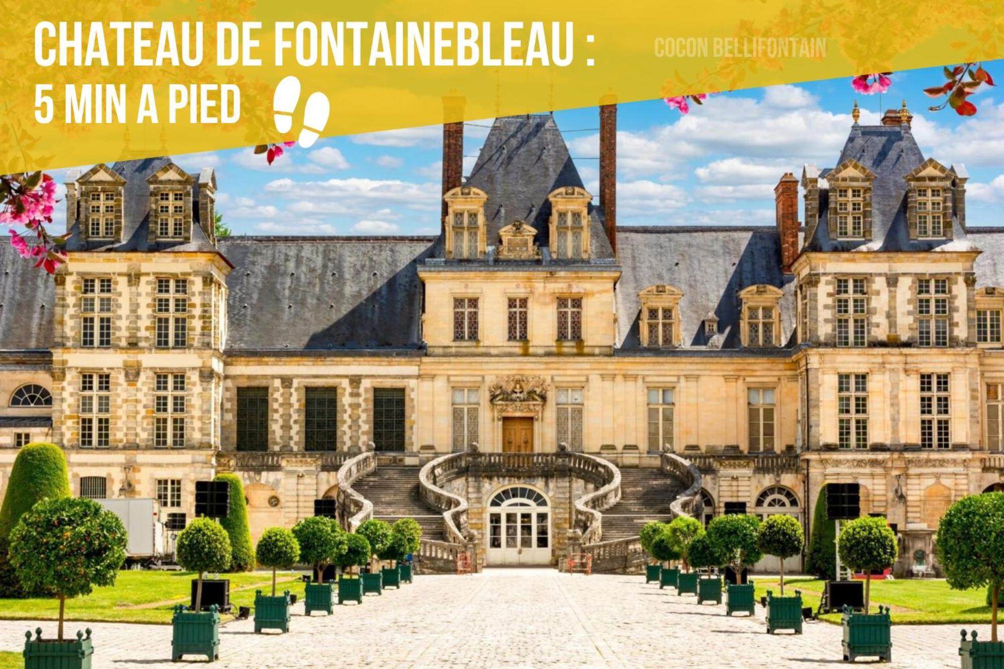 Le Cocon De Fontainebleau - Centre-Ville, Proche Insead & Chateau Exterior foto